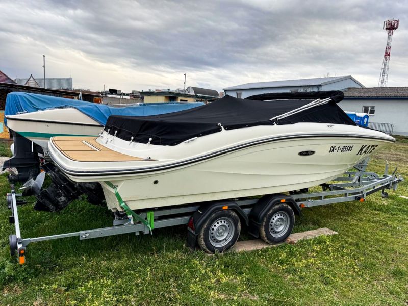 Sea Ray 