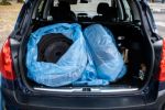 Peugeot 308 2008 na predaj – fotografia 23
