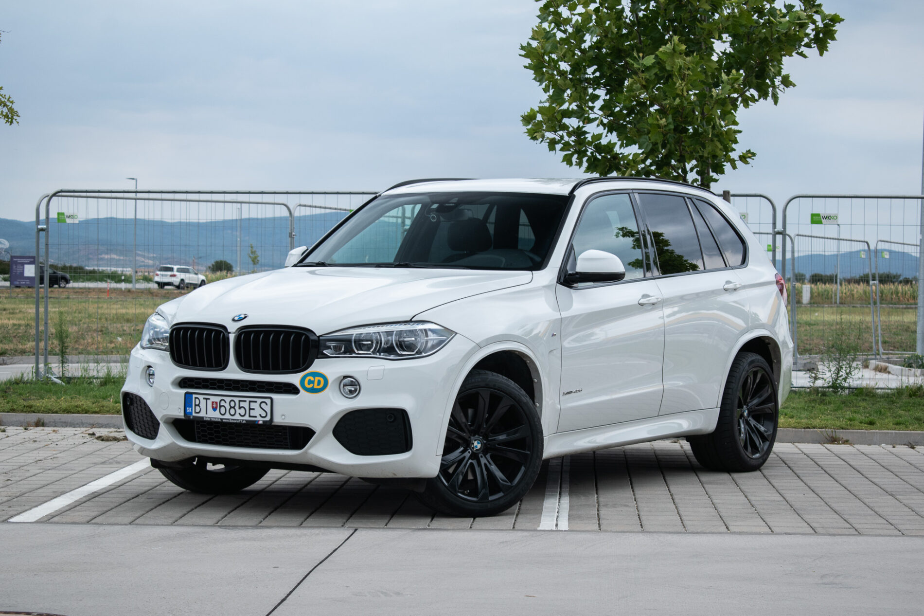 BMW X5
