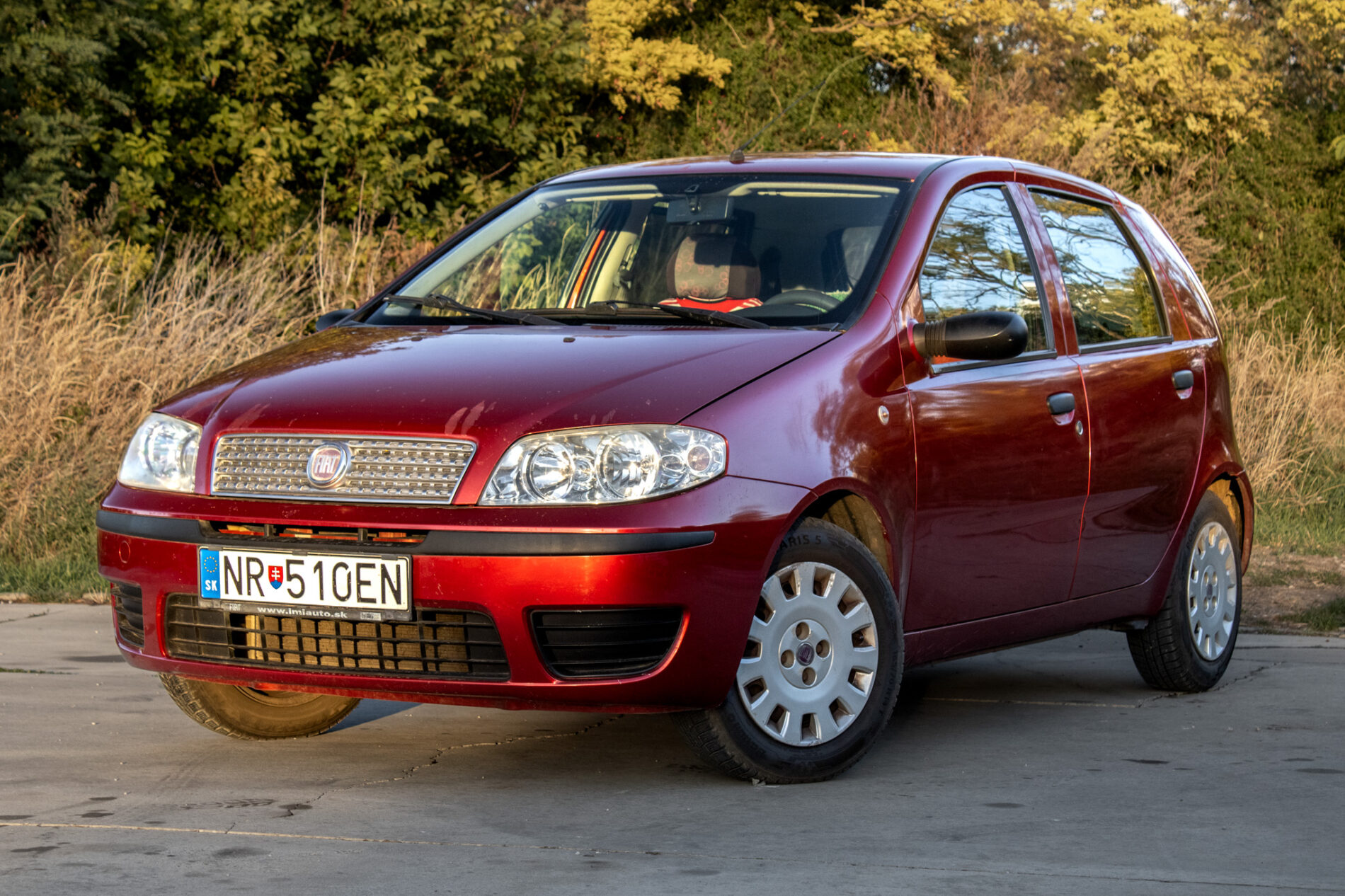Fiat Punto