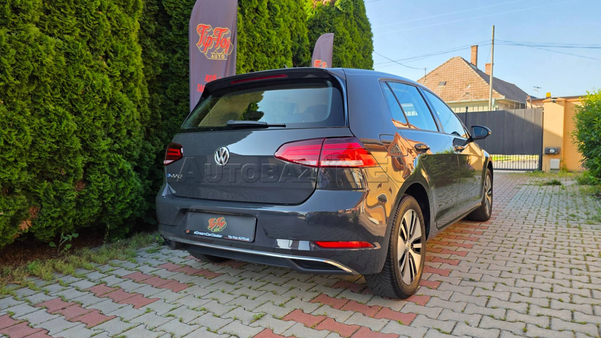 Volkswagen Golf EV SoH 95,4