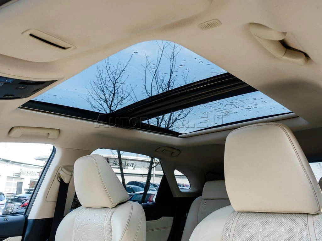 Lexus RX 450 h AWD Luxury Line