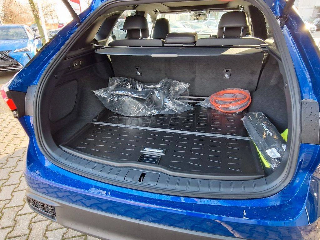Lexus RX 450 h F Sport