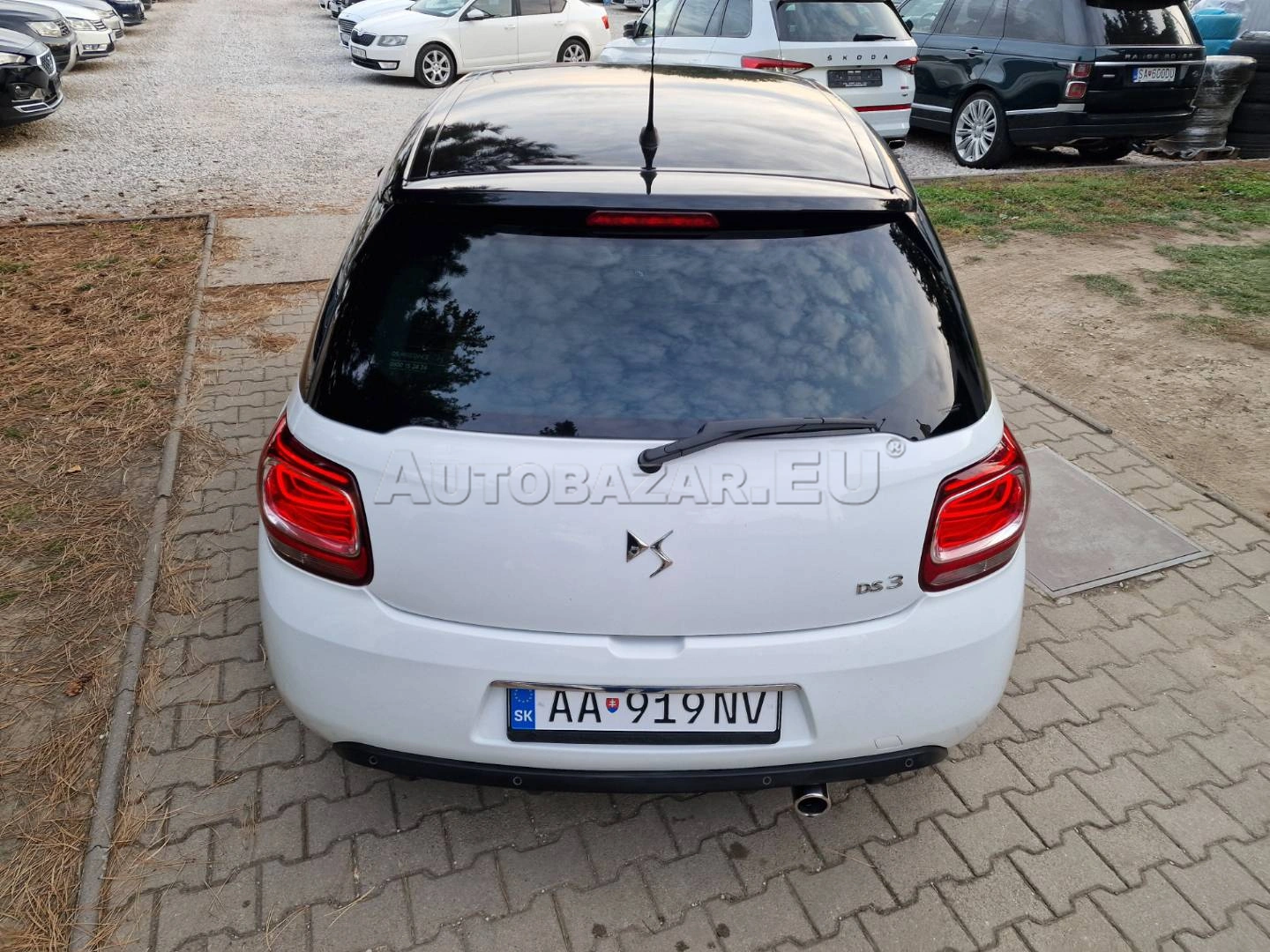 Foto 12