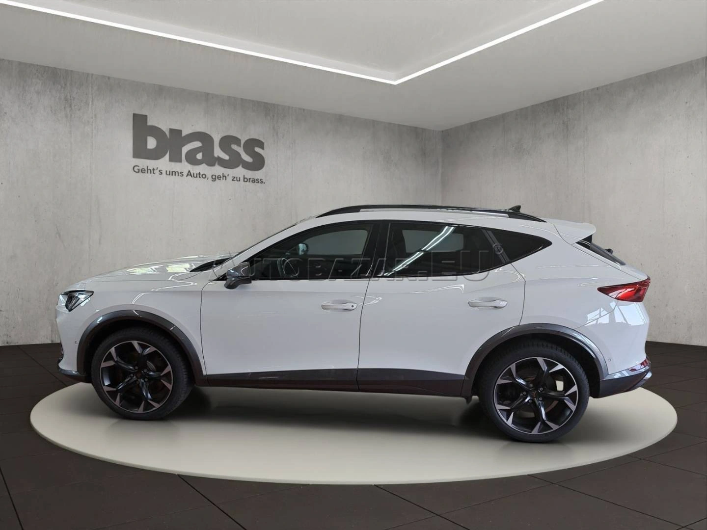 Cupra Formentor 2.0 TSI 310k 4Drive DSG Veloz