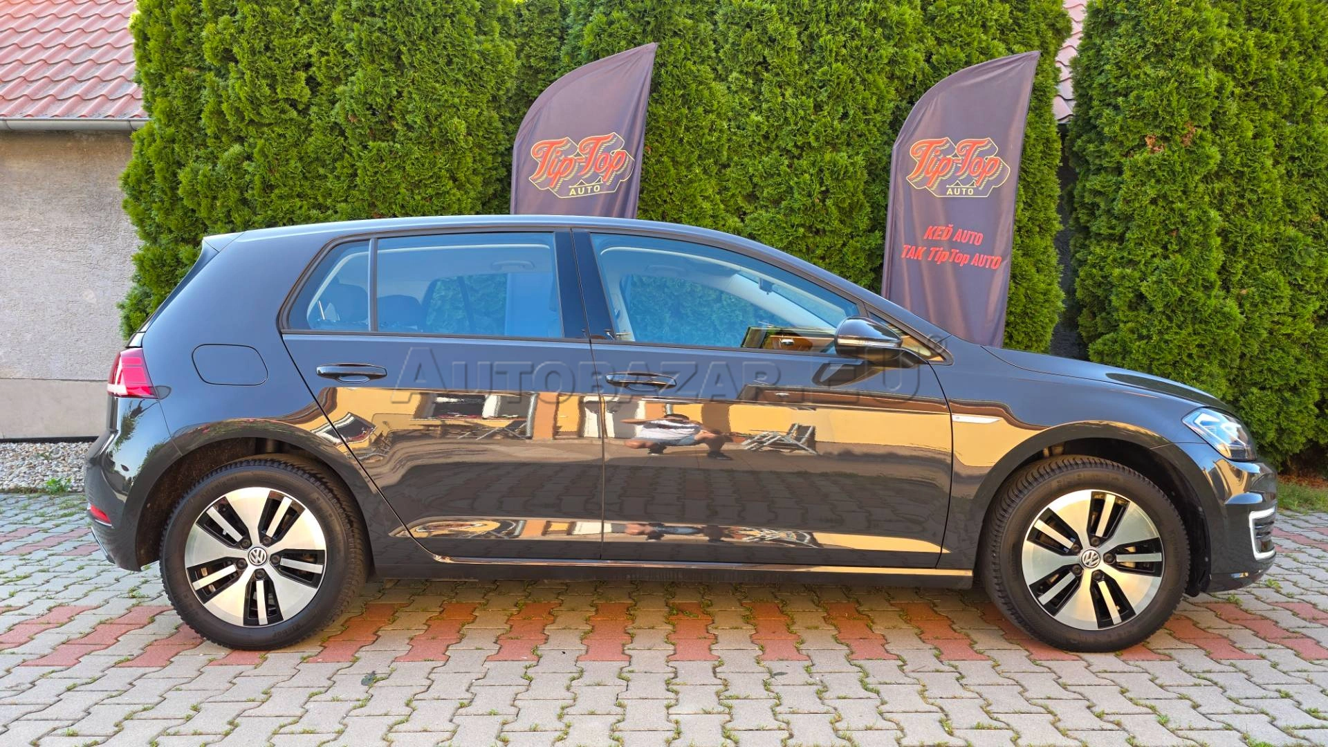 Volkswagen Golf EV SoH 95,4