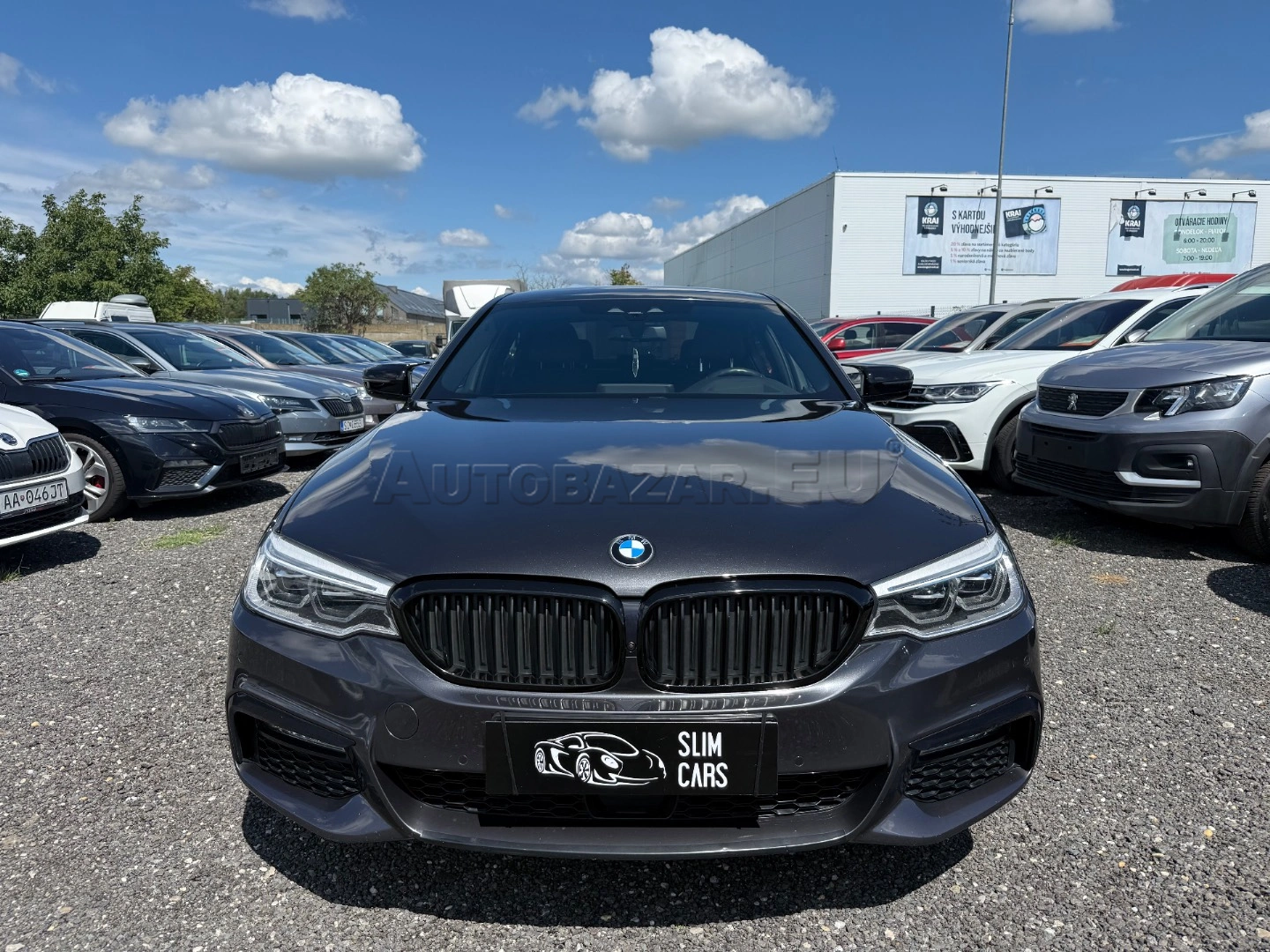 BMW Rad 5 530e Performance M-Packet