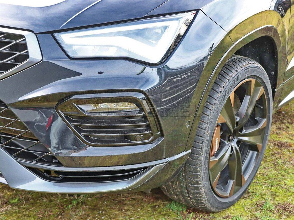 Cupra Ateca 2.0 TSI 300k 4Drive DSG VZ
