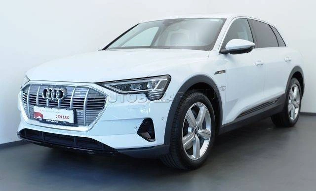 Audi E-tron 55 quattro Basis