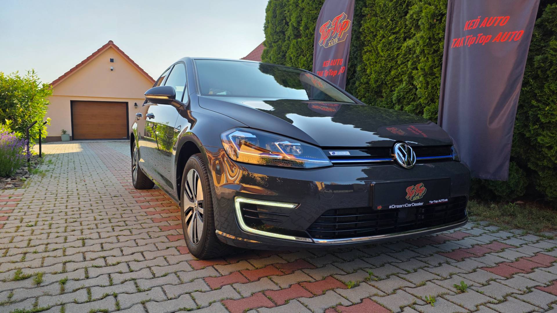 Volkswagen Golf EV SoH 95,4