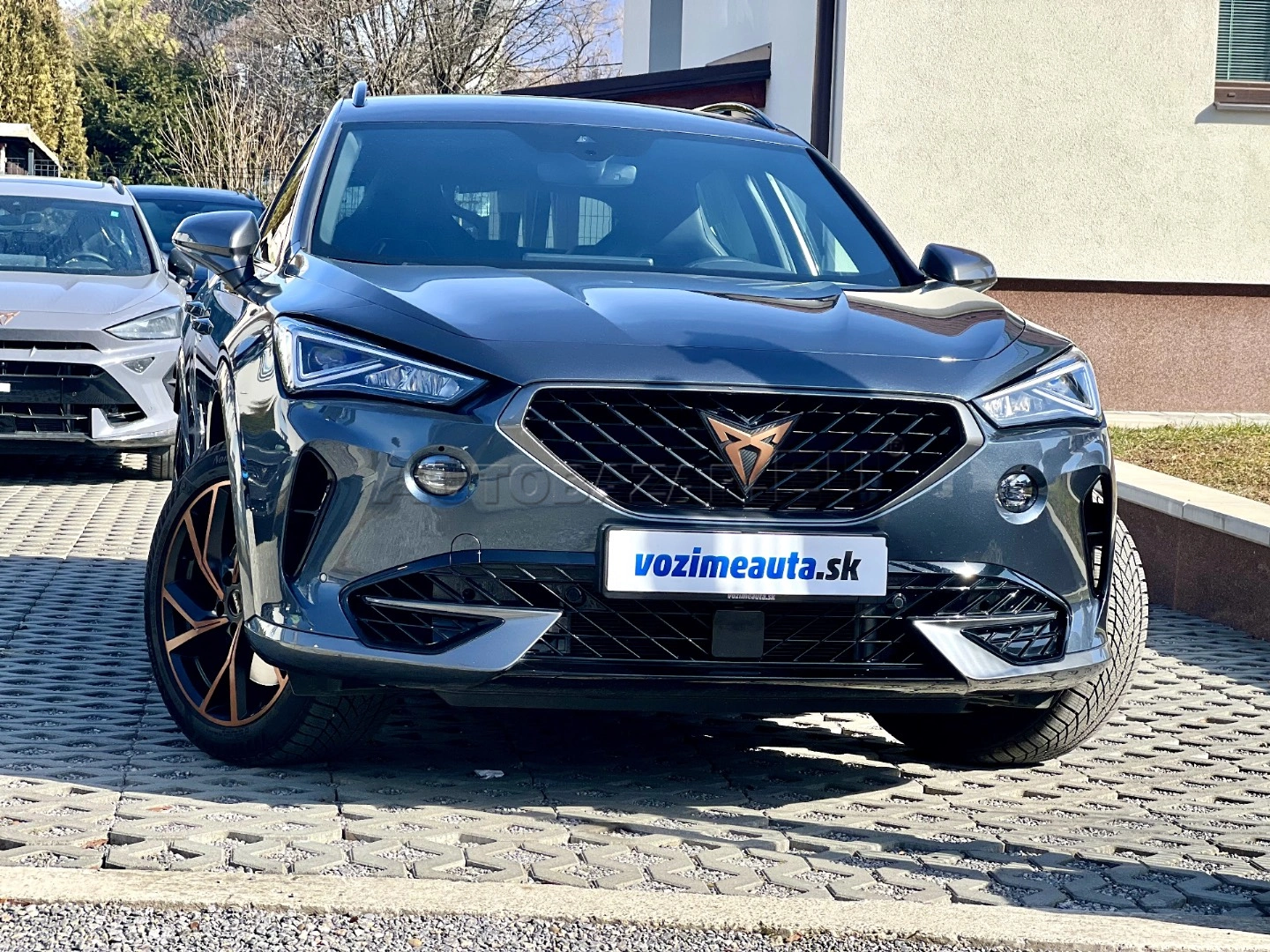 Cupra Formentor 2.0 TSI 310k 4Drive DSG Veloz