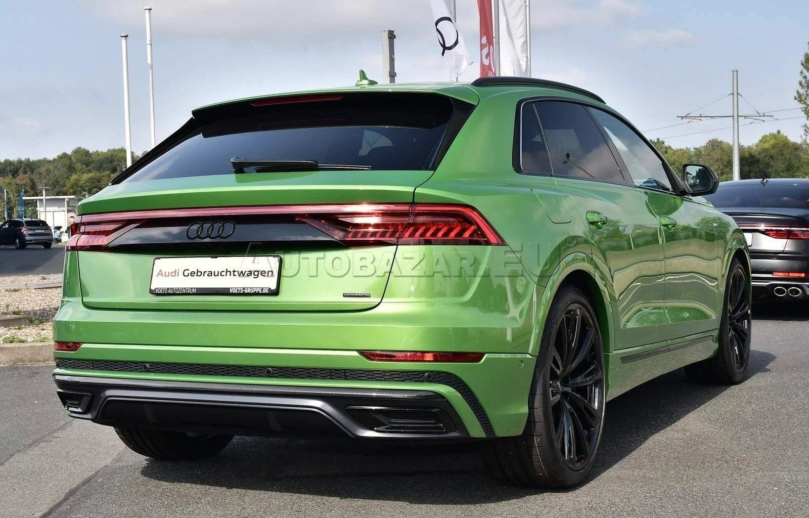 Audi Q8 50 3.0 TDI mHEV quattro tiptronic