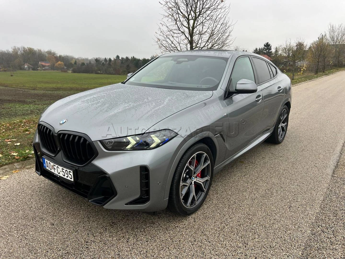BMW X6 xDrive 30d mHEV A/T