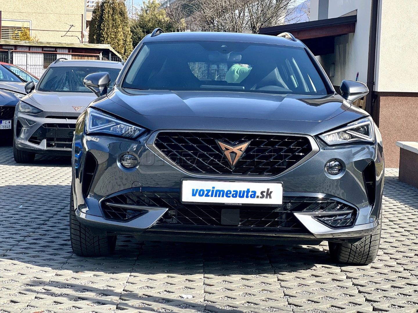 Cupra Formentor 2.0 TSI 310k 4Drive DSG Veloz