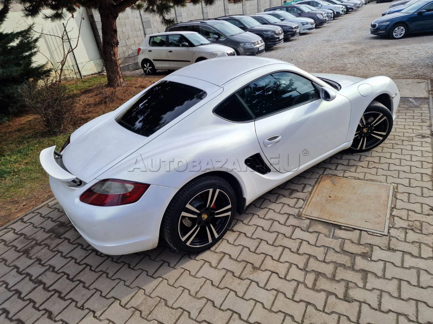 Porsche Cayman 2006 na predaj – fotografia 13