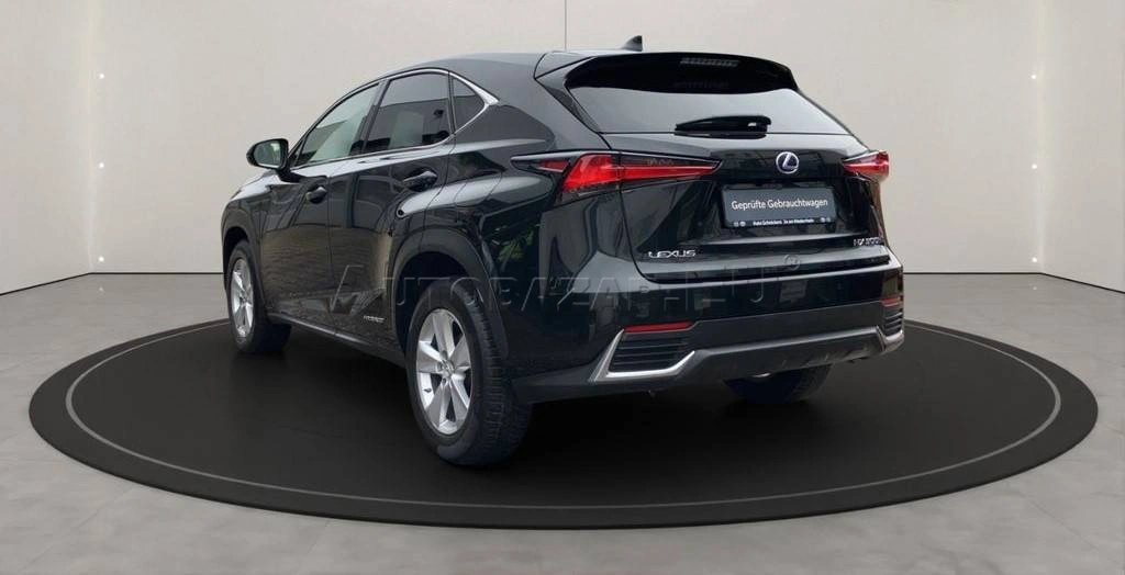 Lexus NX 300 h E-Four Luxury Line