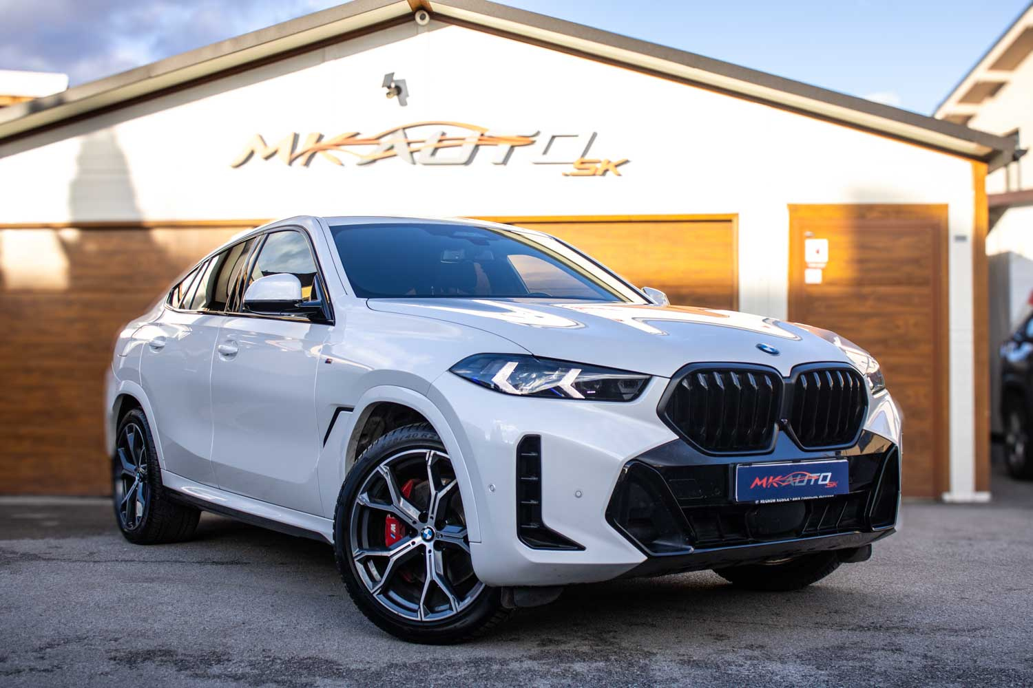 BMW X6