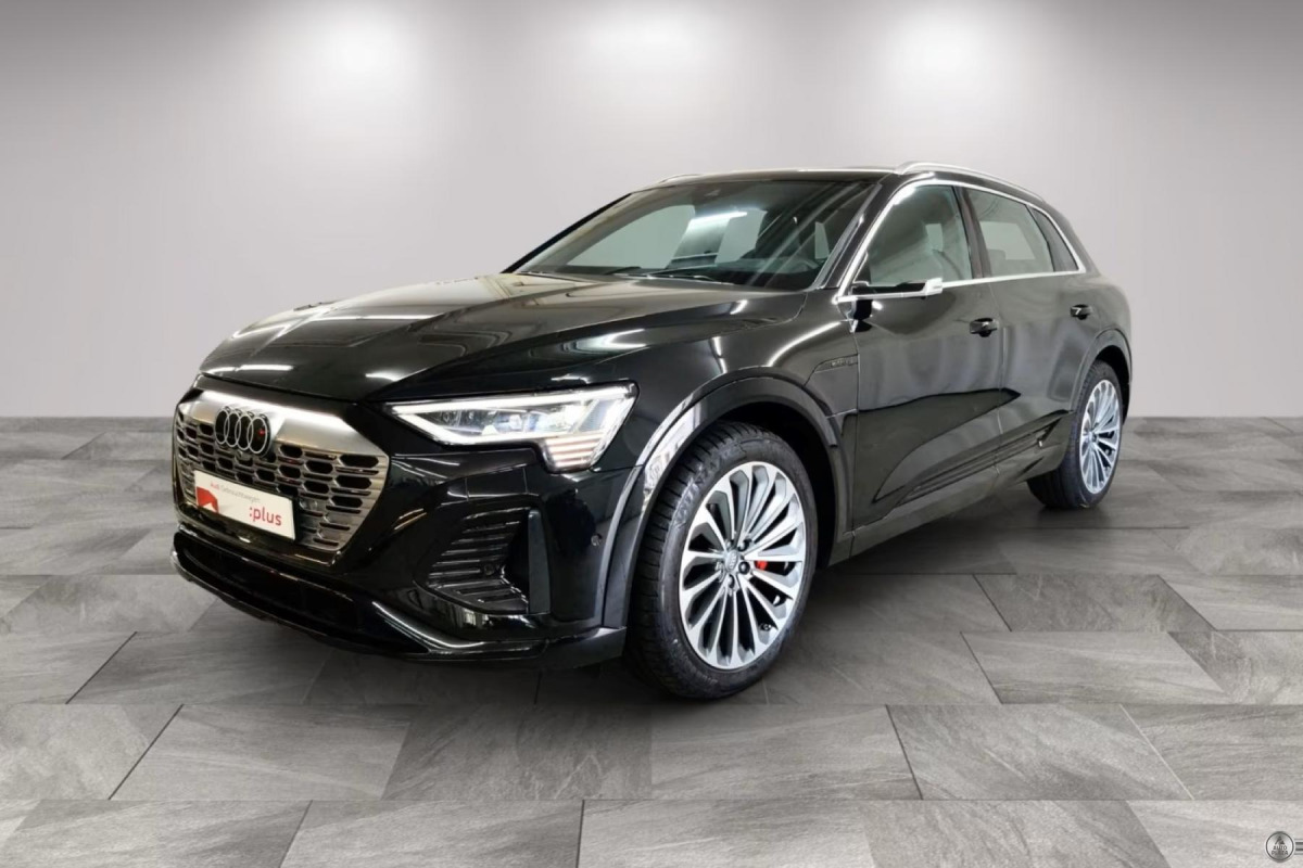 Audi Q8 e-tron S line 55 Quattro