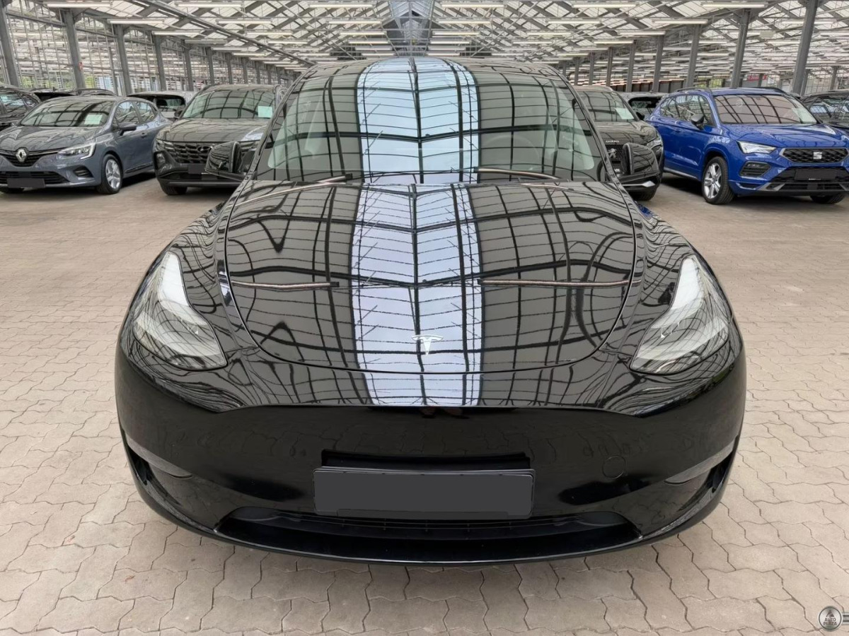 Tesla Model Y Dual Long Range AWD