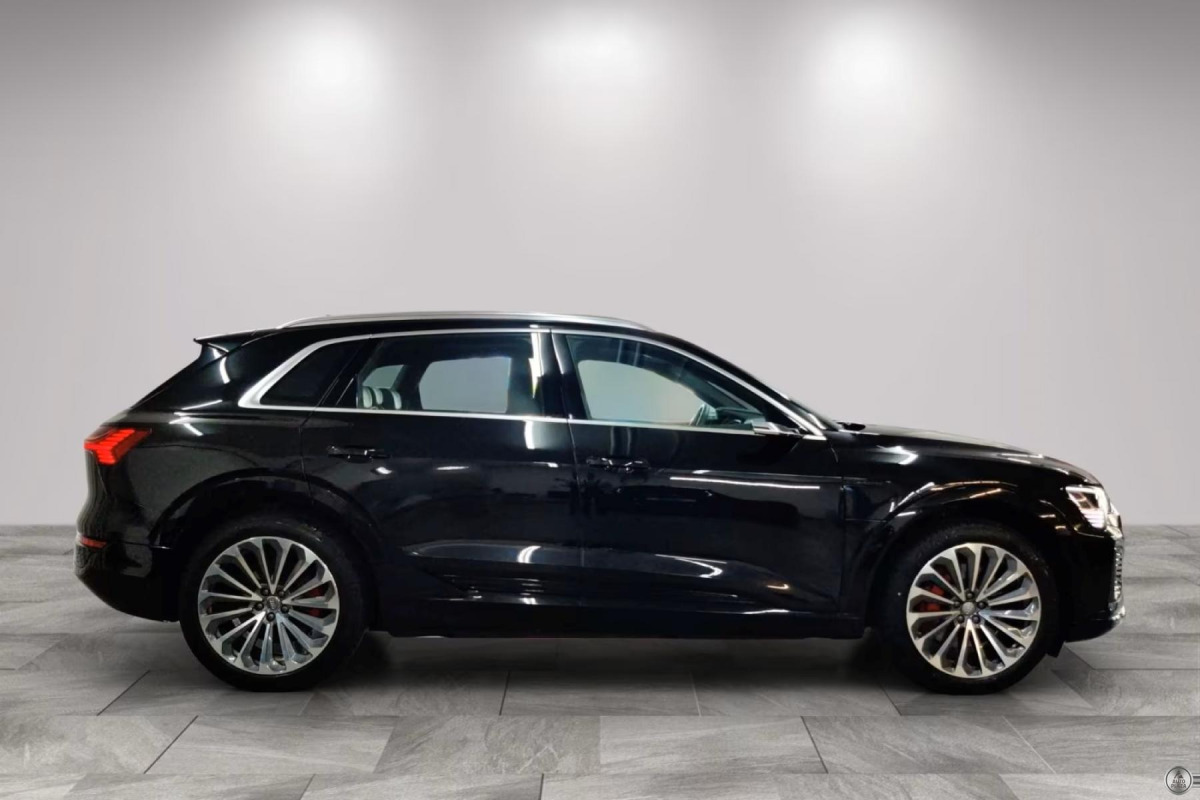 Audi Q8 e-tron S line 55 Quattro