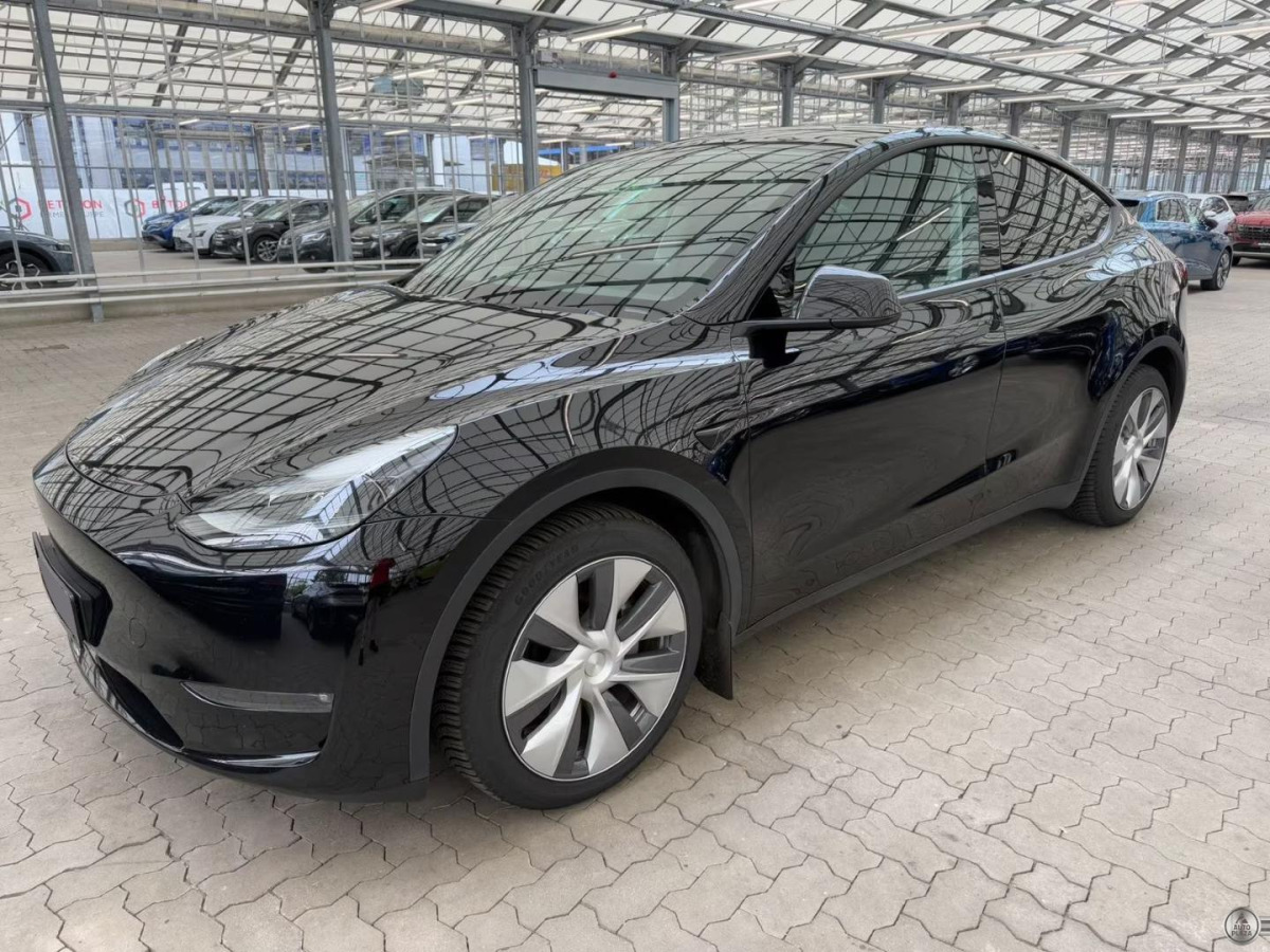 Tesla Model Y Dual Long Range AWD