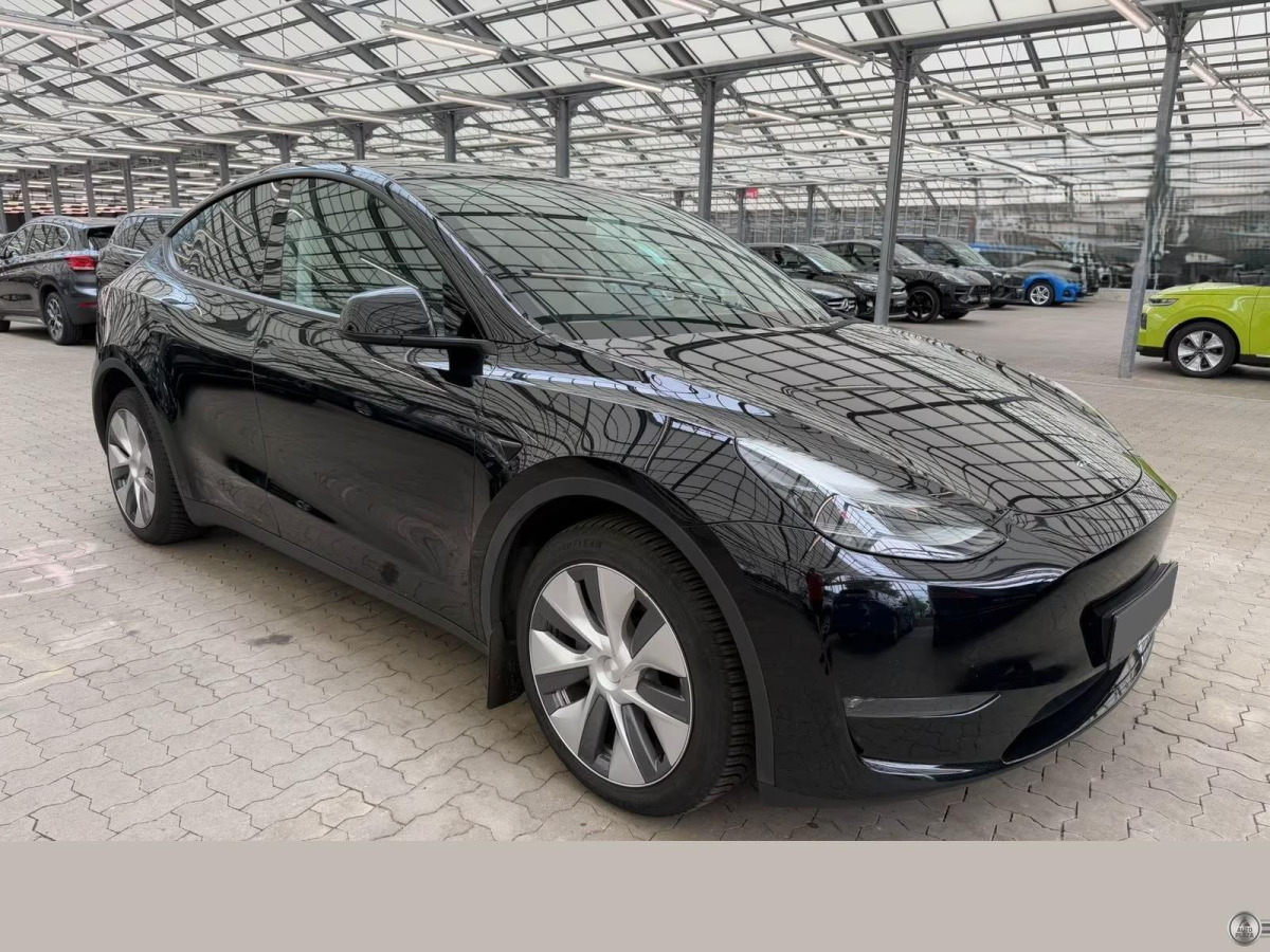 Tesla Model Y Dual Long Range AWD
