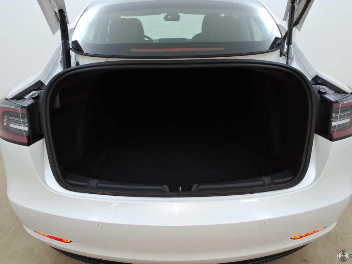 Tesla Model 3 Performance 82 kWh Dual Motor