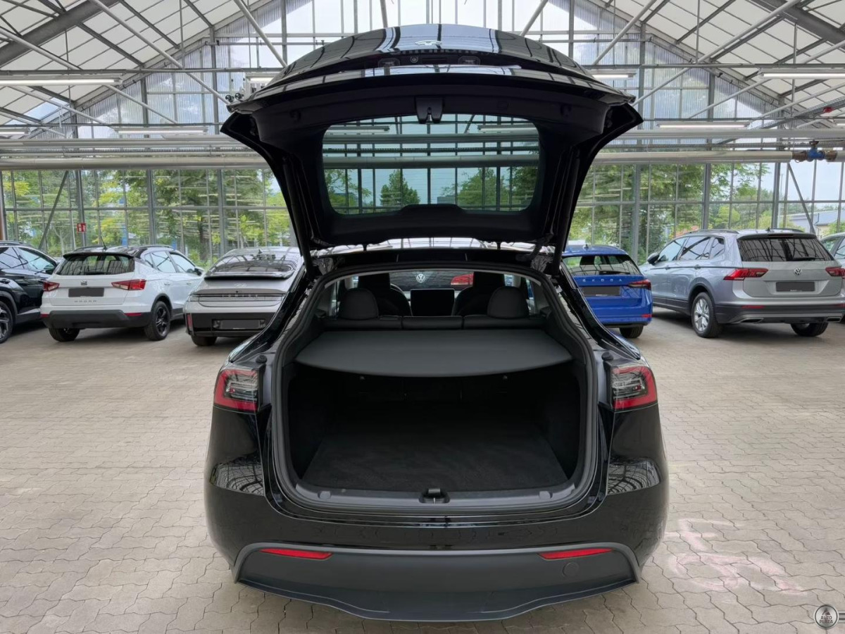 Tesla Model Y Dual Long Range AWD